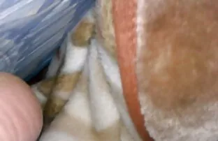 XXX Ryska porr med en mycket vacker bastu porn flicka