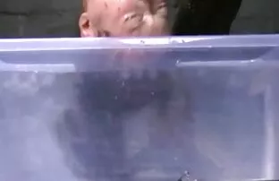 XXX Bomb Skydd swedish sex cam Ung Hund