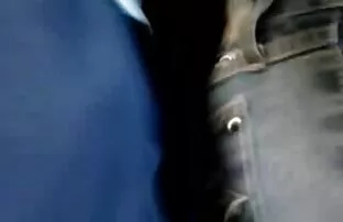 XXX Sex lustgården xxx