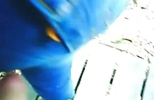 XXX Sex svenska sex cam maskin genom röd hund och nå våldsam orgasm.